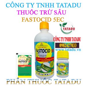 FASTOCID 5EC
