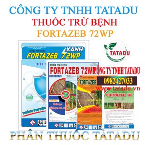 FORTAZEB 72WP