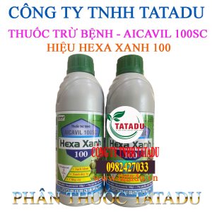 HEXA XANH 100
