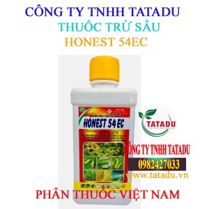 HONEST 54EC