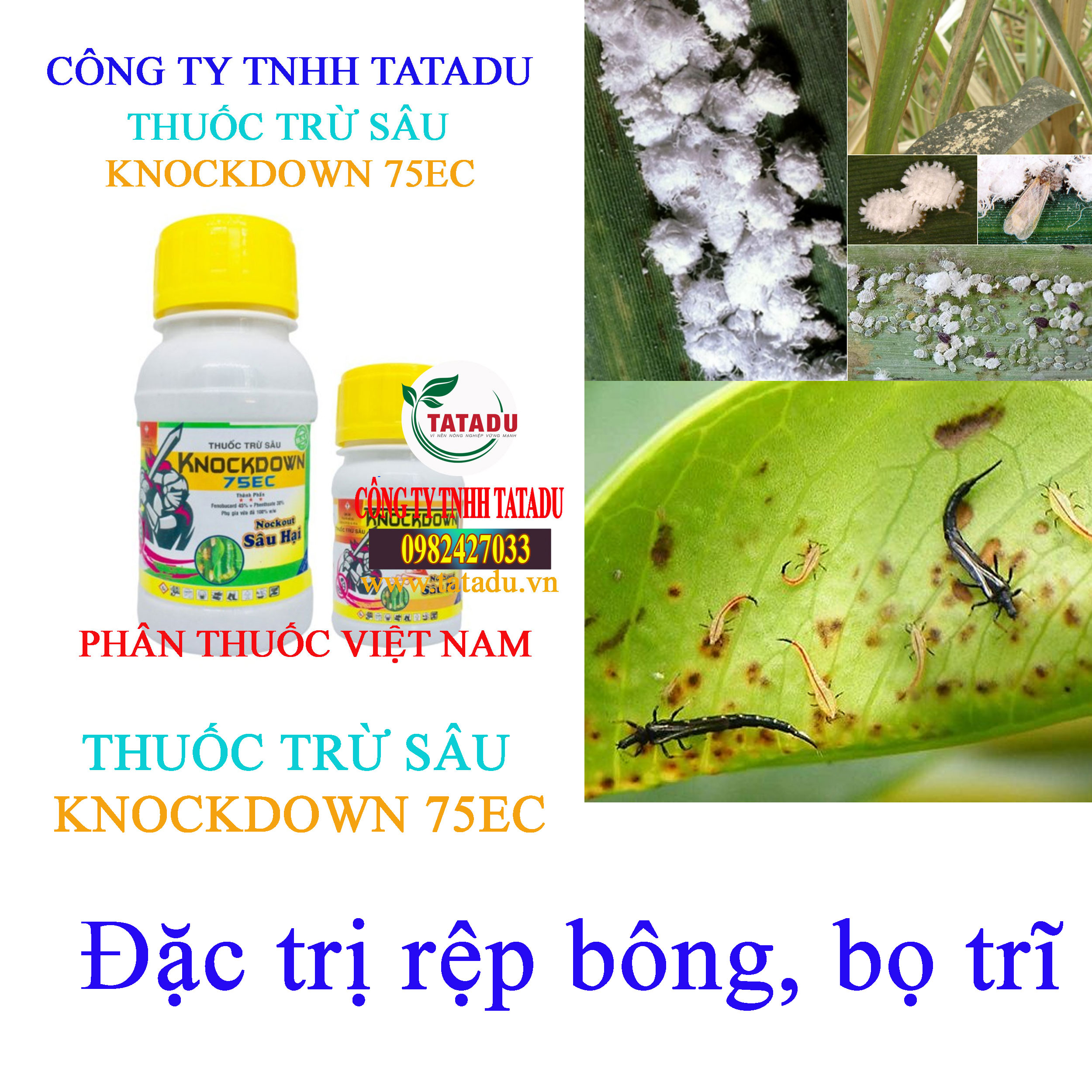 KNOCKDOWN 75EC rep bong KNOCKDOWN 75EC rep bong