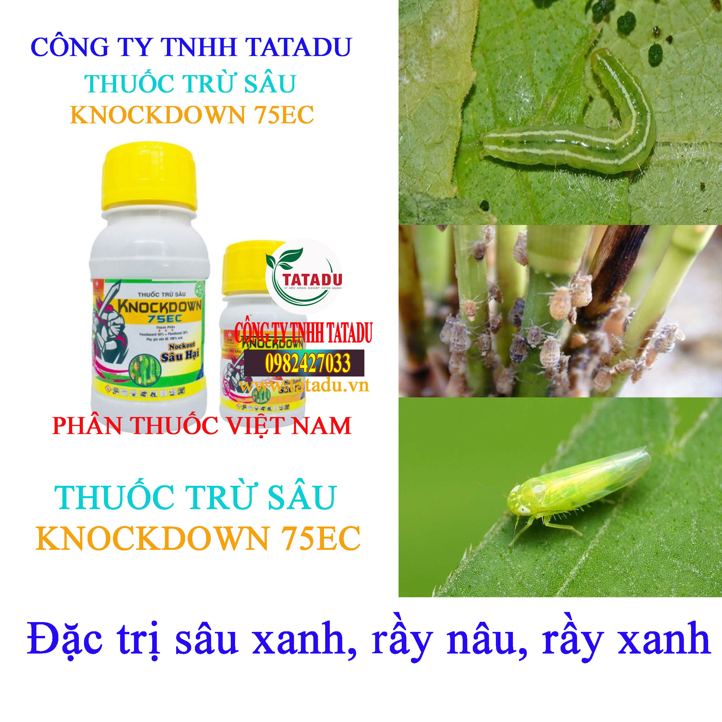 KNOCKDOWN 75EC sau xanh KNOCKDOWN 75EC sau xanh