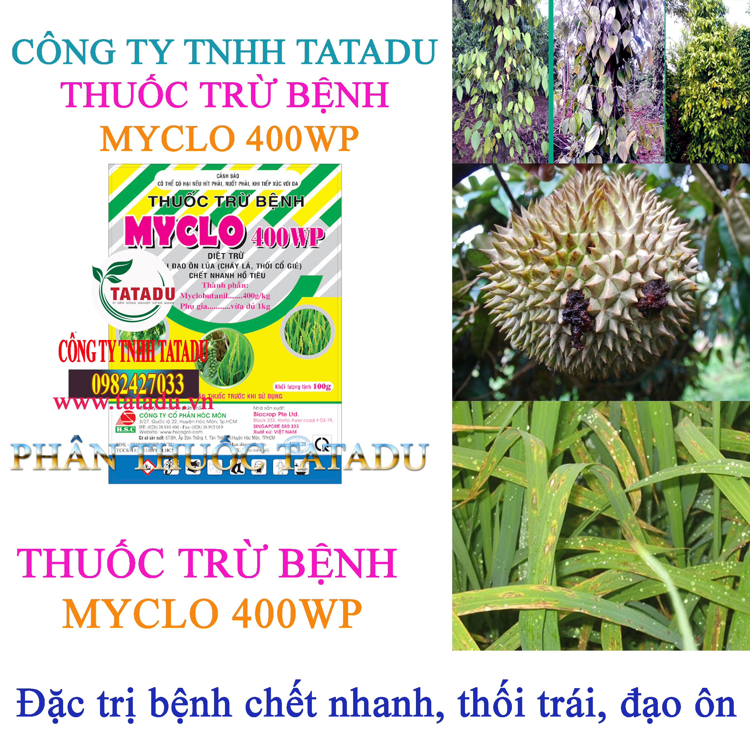 MYCLO 400WP tru benh chet nhanh MYCLO 400WP tru benh chet nhanh