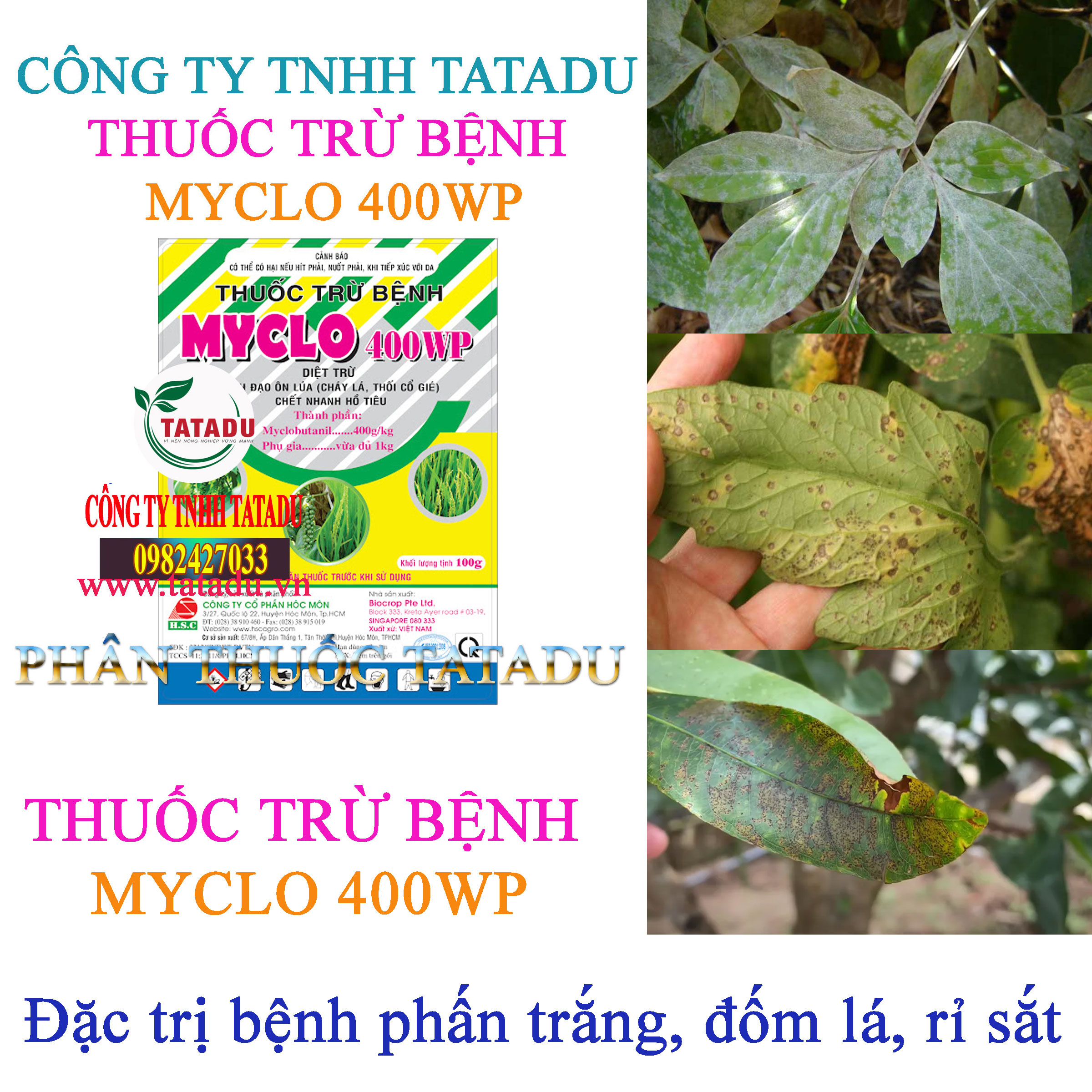 MYCLO 400WP tru benh phan trang MYCLO 400WP tru benh phan trang