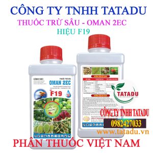 OMAN 2EC HIEU F19