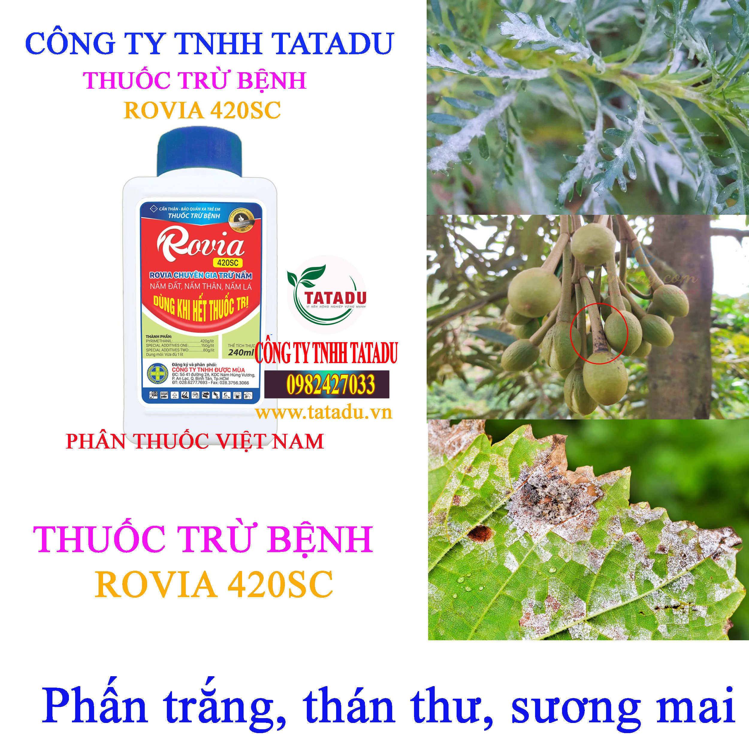 ROVIA 420SC phan trang
