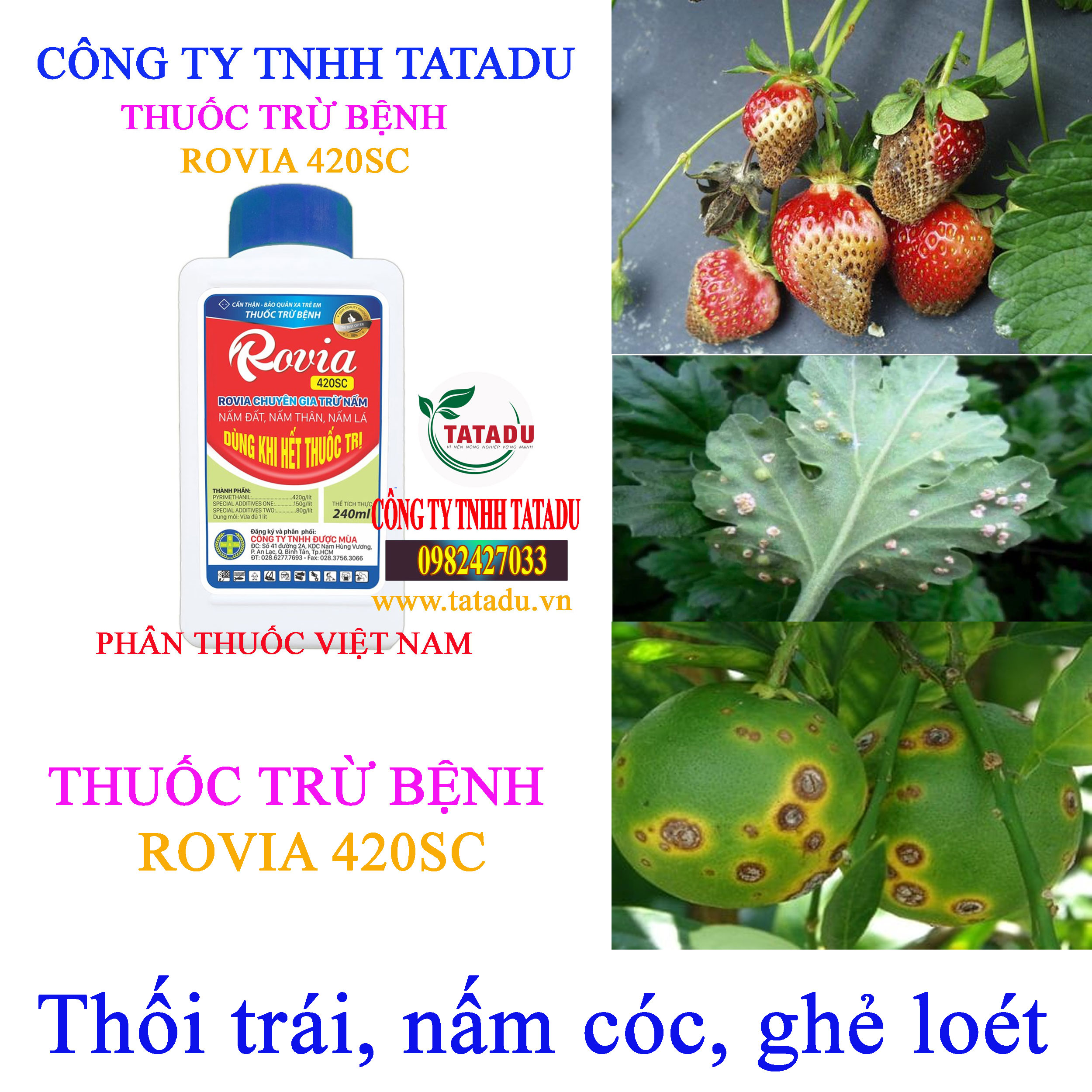 ROVIA 420SC thoi trai
