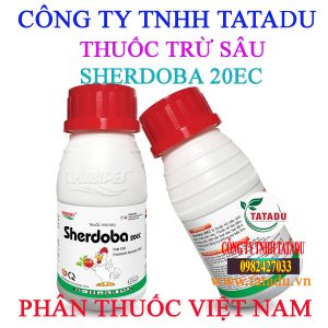 SHERDOBA 20EC