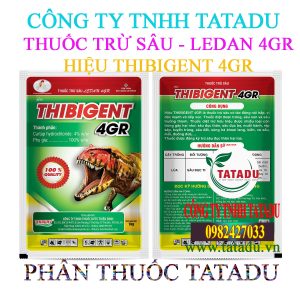 THIBIGENT 4GR