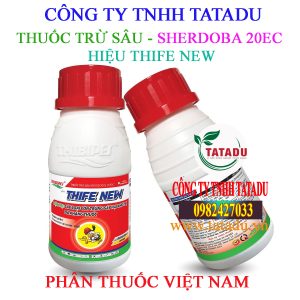 THIFE NEW