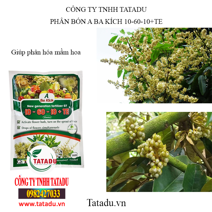 aba tatadu aba tatadu