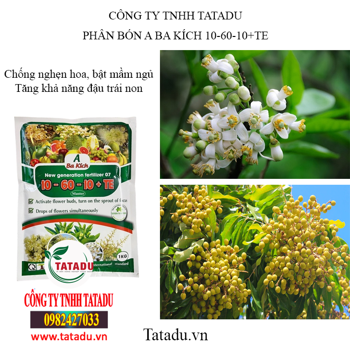 aba tatadu1 aba tatadu1