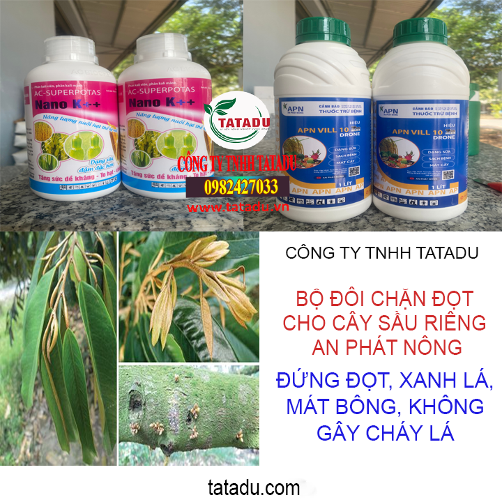 bo doi