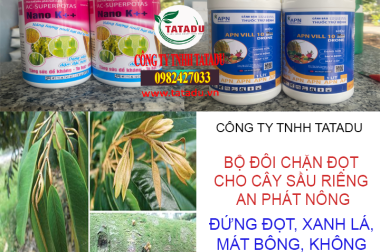 BỘ ĐÔI CHẶN ĐỌT CHO CÂY SẦU RIÊNG AN PHÁT NÔNG, ĐỨNG ĐỌT, XANH LÁ, MÁT BÔNG, KHÔNG GÂY CHÁY LÁ CÔNG TY TNHH TATADU