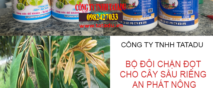 bo doi chan dot