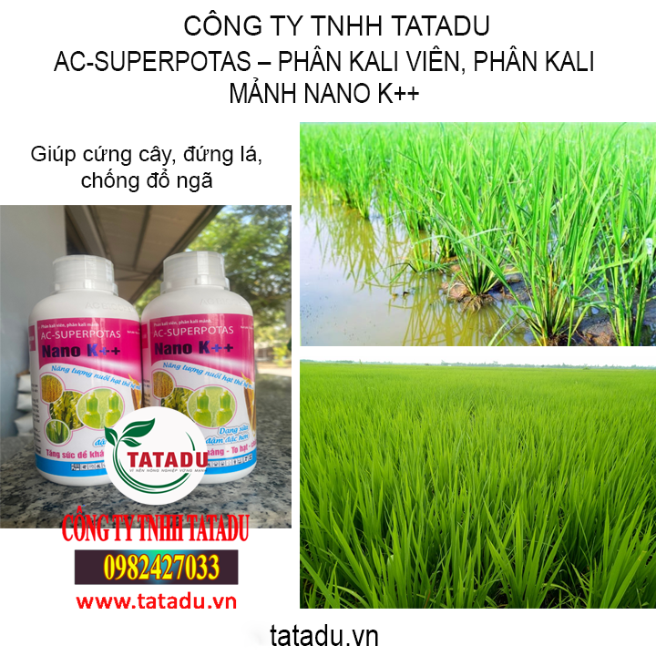 nano tatadu 3
