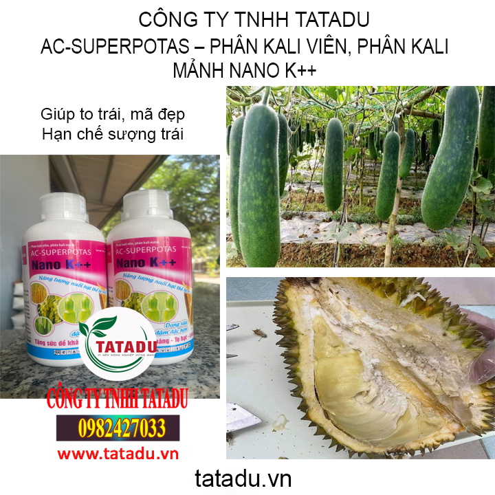 nano tatadu1 3