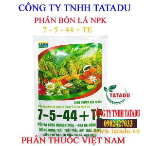 7 5 44 TE APN