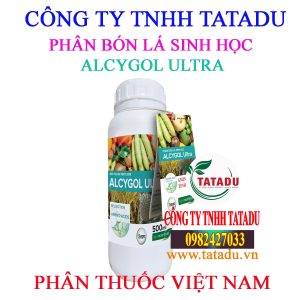 ALCYGOL ULTRA