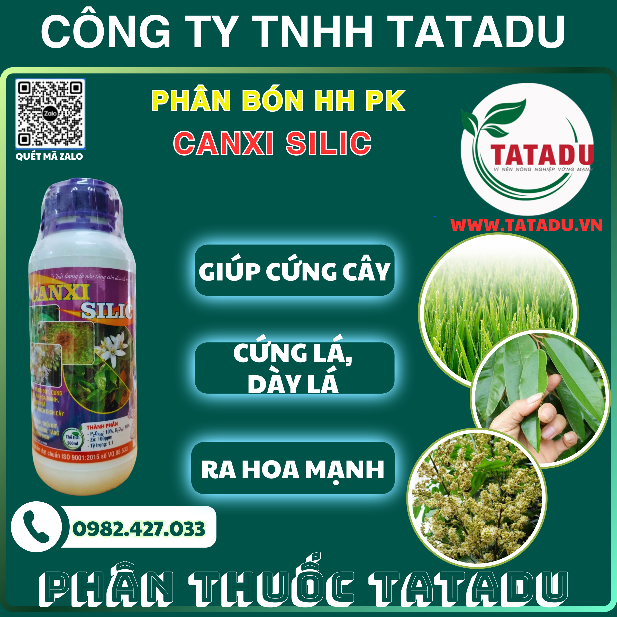 CANXI SILIC GIUP CUNG CAY CUNG LA DAY LA RA HOA MANH CANXI SILIC GIUP CUNG CAY CUNG LA DAY LA RA HOA MANH