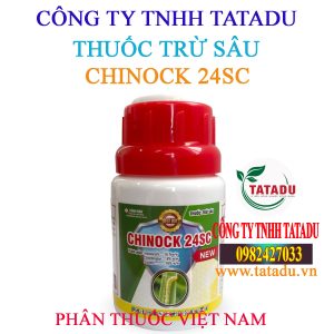 CHINOCK 24SC
