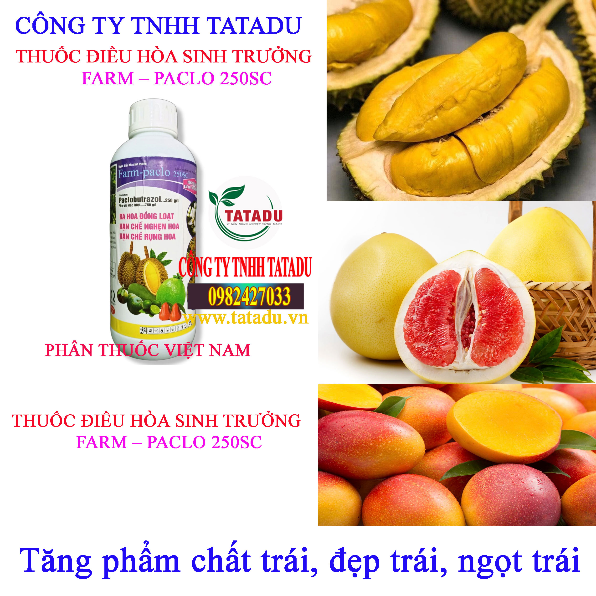 FARM – PACLO 250SC dep trai FARM – PACLO 250SC dep trai