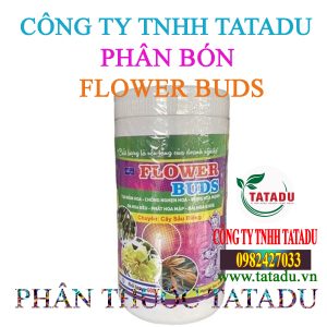 FLOWER BUDS 2