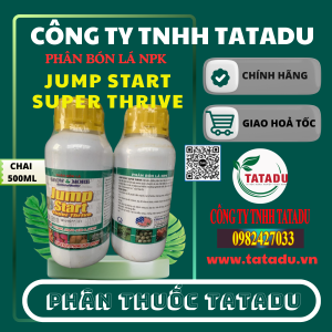 JUMP START SUPER THRIVE