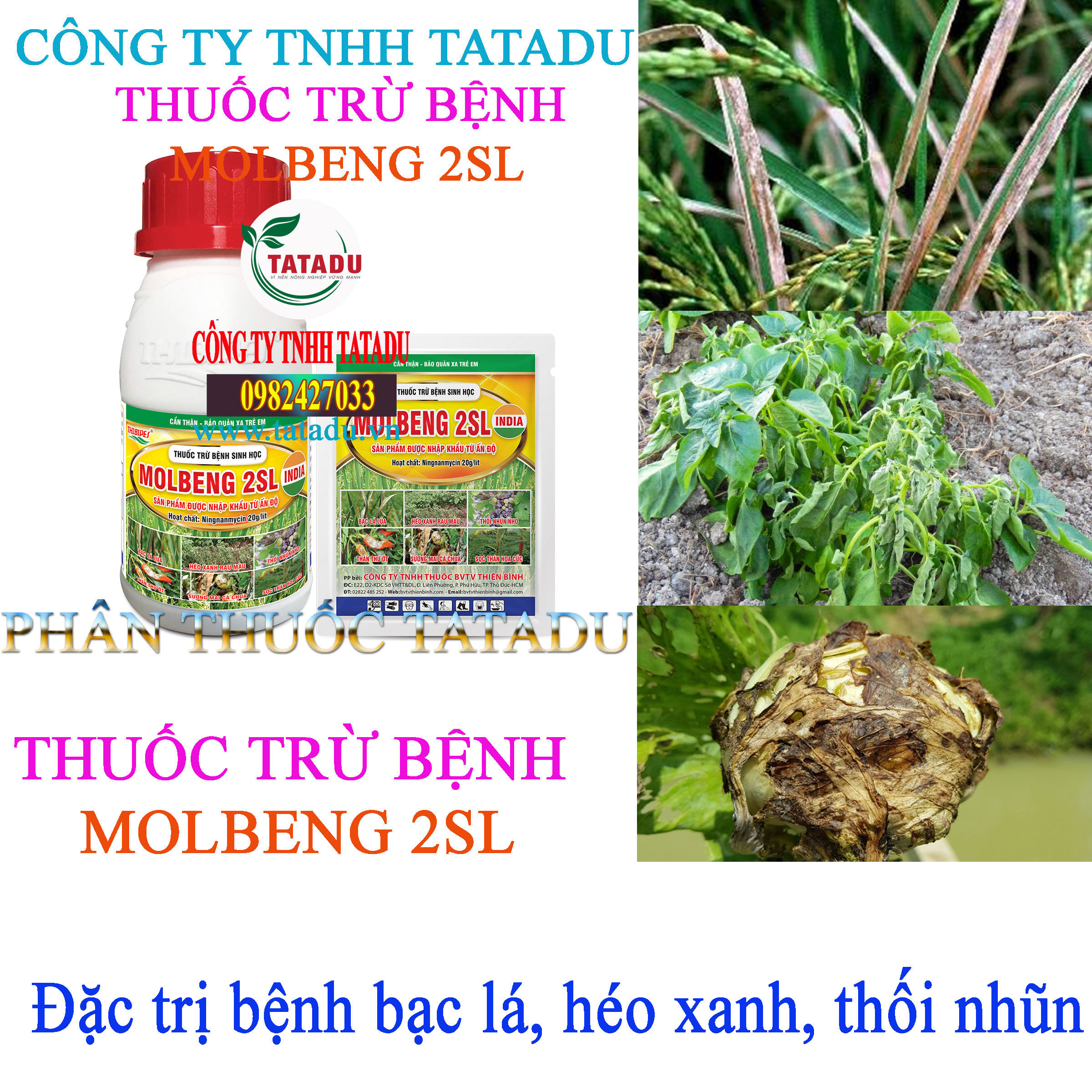 MOLBENG 2SL tru benh bac la MOLBENG 2SL tru benh bac la
