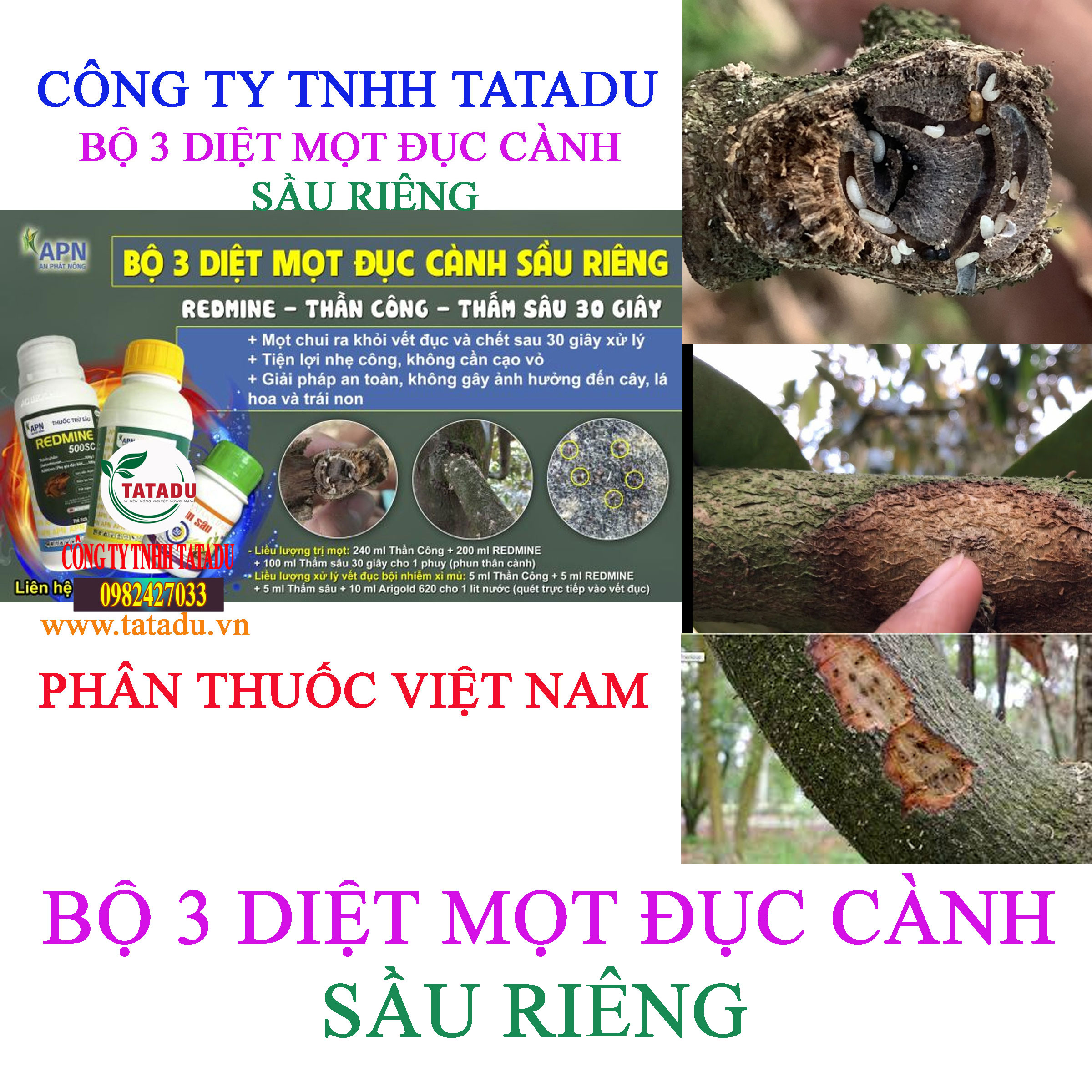 MOT DUC CANH SAU RIENG