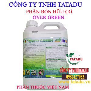 OVER GREEN