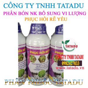 PHUC HOI RE YEU