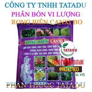 RONG BIEN CANXI BO