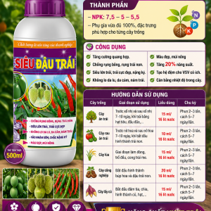 SIEU DAU TRAI
