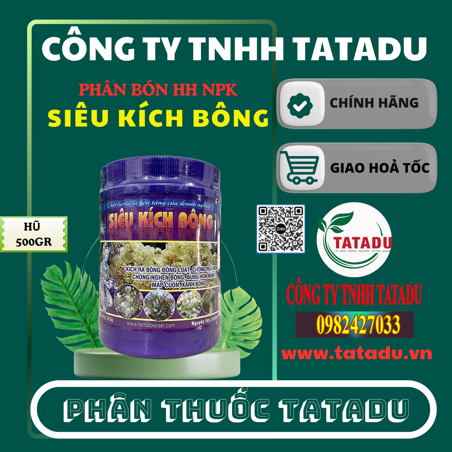 SIEU KICH BONG TOMATO ISRAEL