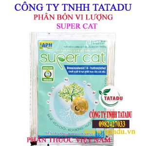 SUPER CAT
