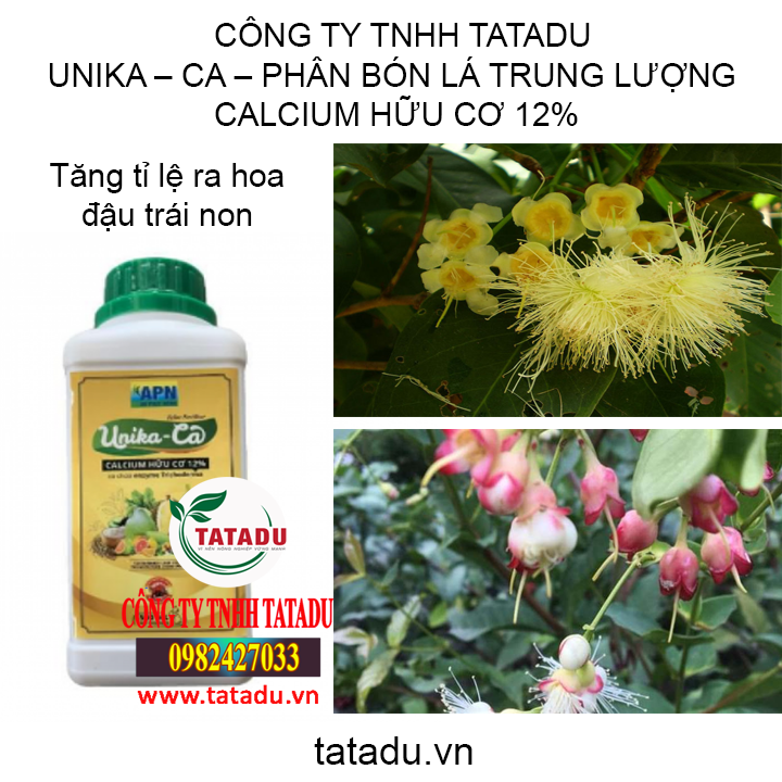UNI TATADU UNI TATADU