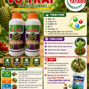 VO TRAI TOMATO ISRAEL