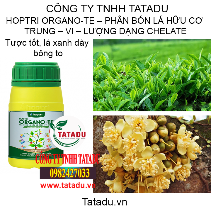 hop tatadu