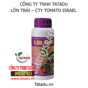 lon trai