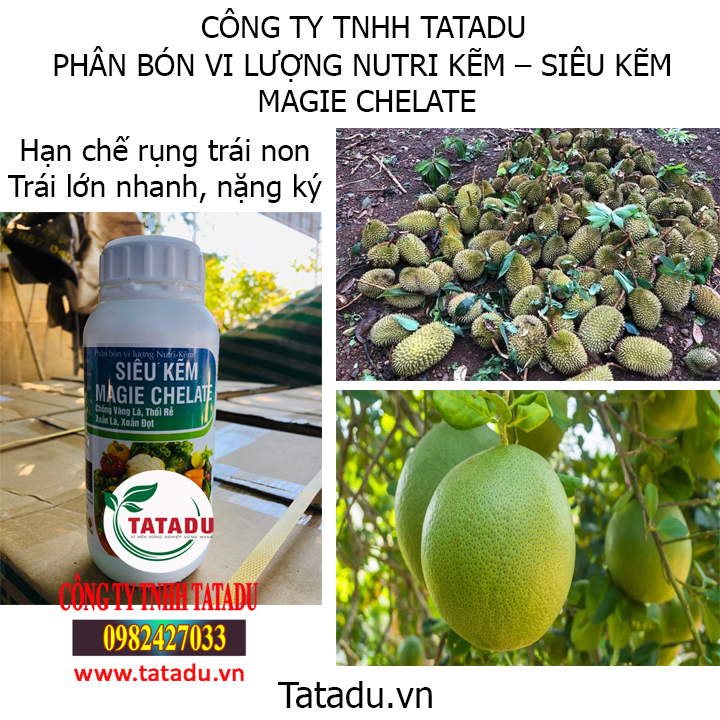 magie hinh1