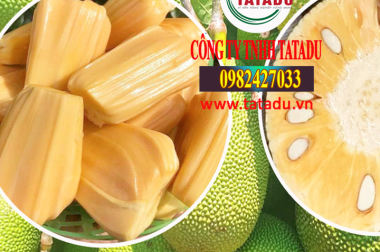MÍT THÁI CÓ THỤ PHẤN BỔ SUNG ĐƯỢC HAY KHÔNG? CÔNG TY TNHH TATADU