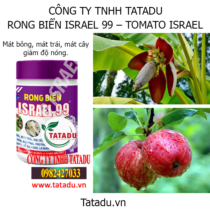 rong hinh
