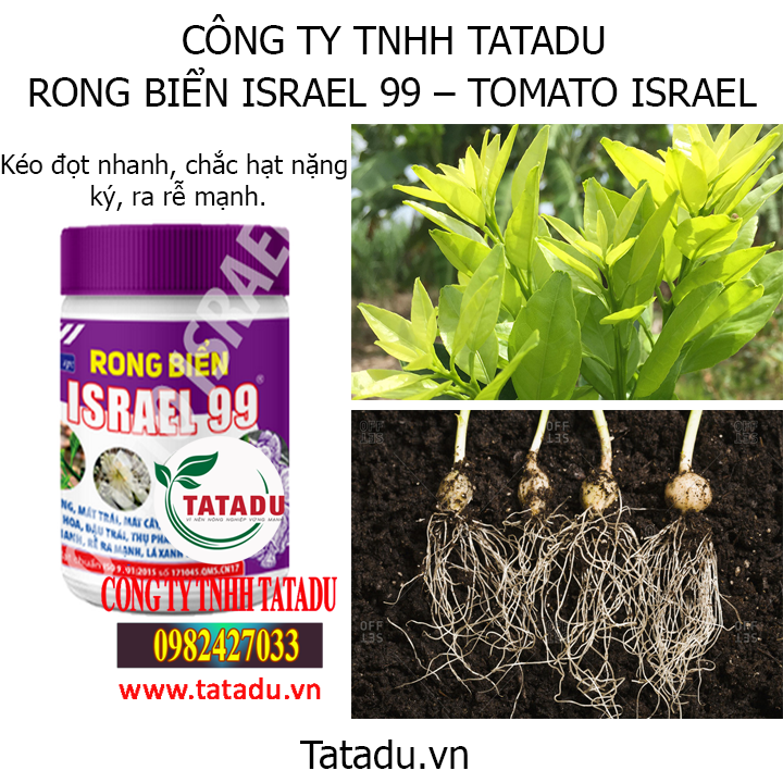 rong hinh1