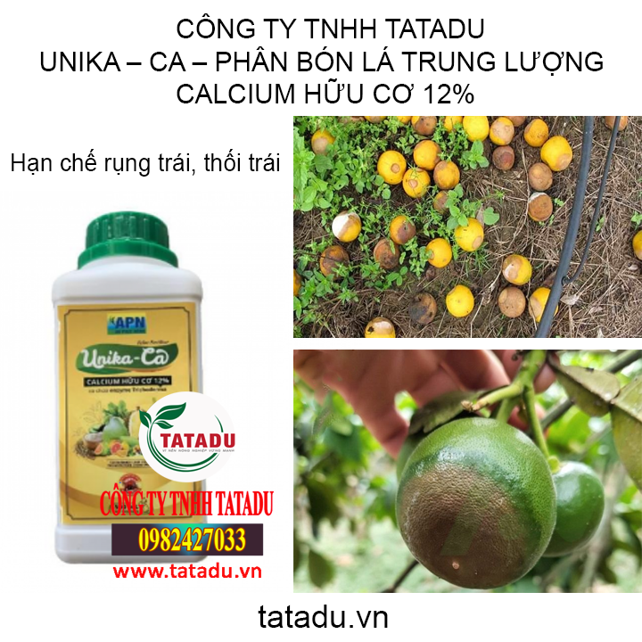 uni tatadu1 uni tatadu1