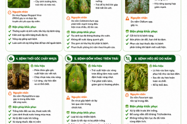 MỘT SỐ BỆNH THƯỜNG GẶP TRÊN CÂY ĐU ĐỦ VÀ BIỆN PHÁP KHẮC PHỤC – CÔNG TY TNHH TATADU