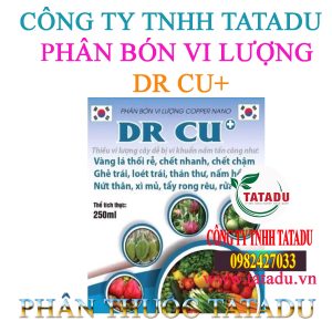 DR CU+