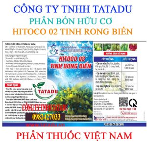 HITOCO 02 TINH RONG BIEN