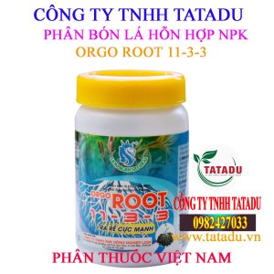 ORGO ROOT 11 3 3