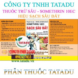 SACH SAU DAT